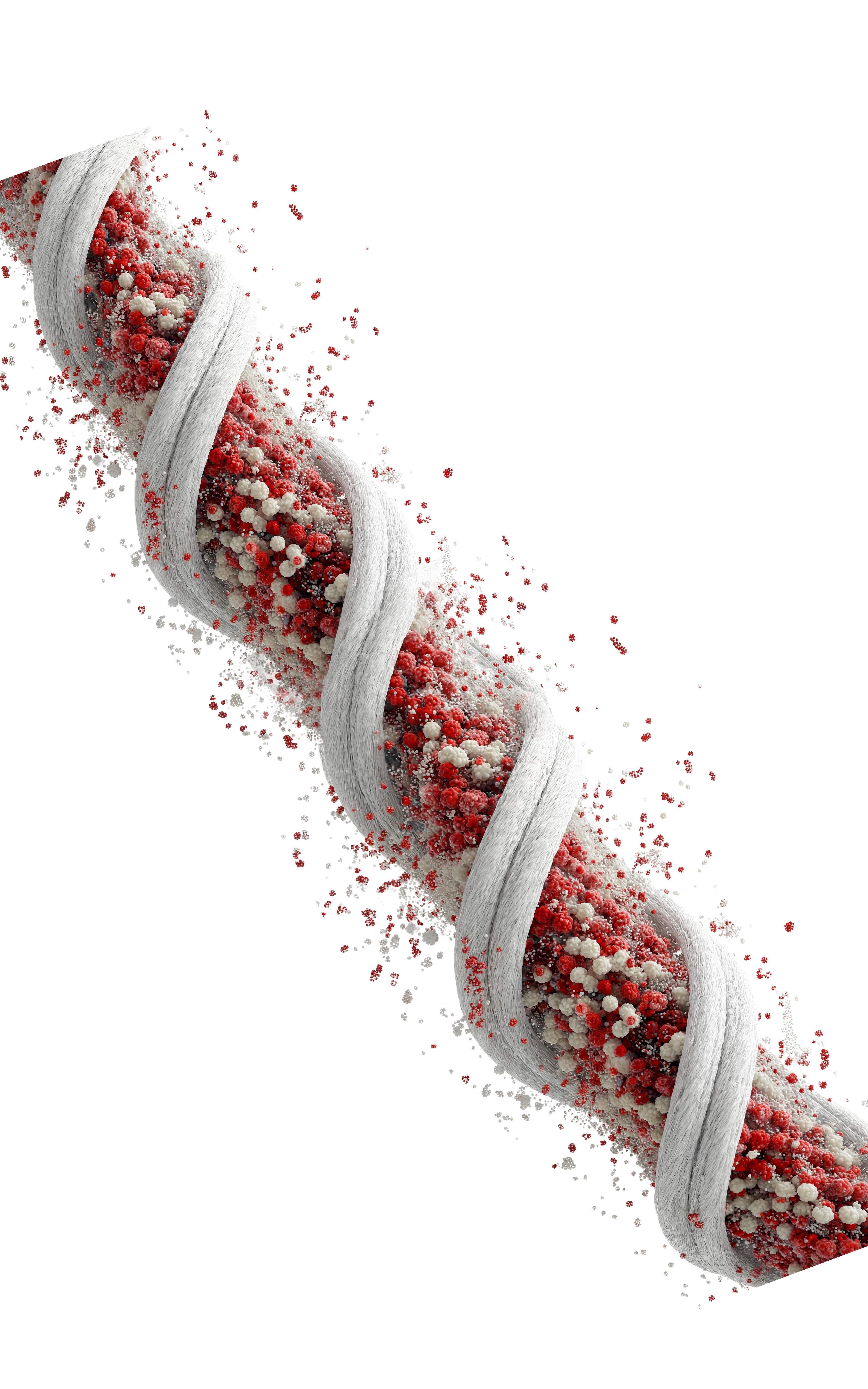 Triple Helix Structure