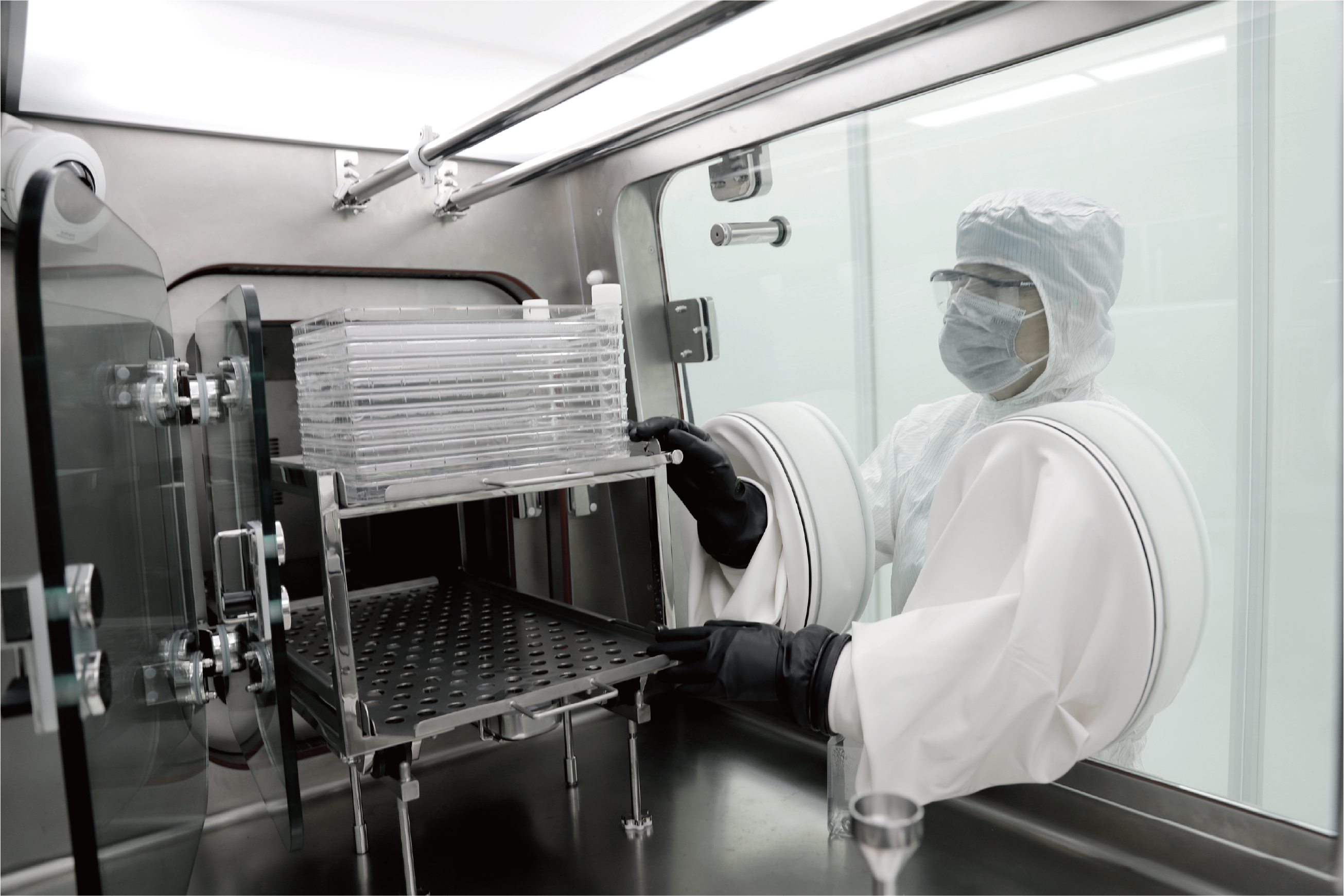Tissue Regeneration Laboratory