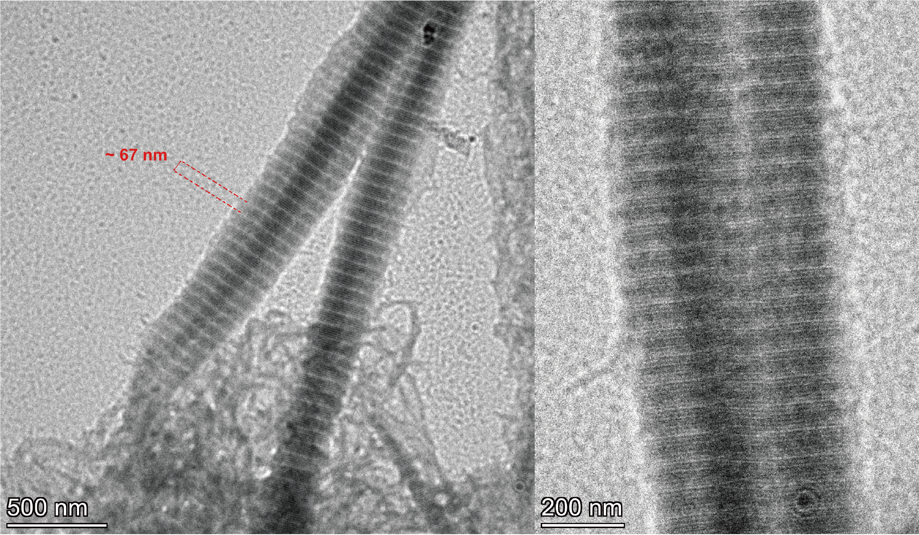 Triple-Helix Conformation